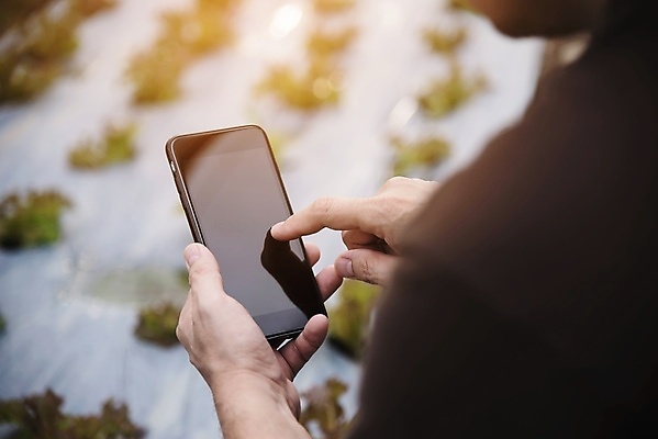 포토 JPG 해외이미지 식물 음식 백그라운드 잎 농업 다이어트 채소 자연 건강 사람 사람없음 초록색 물 농작물 농장 정원 봄 샐러드 수확 성장 신선 상추 허브 유기농 원예 날것 내추럴 고립 밭일 온실 줄서기 채식주의자 해외포토 자연요소 웰빙 계절 산업 컬러 모션 취미 생태계 채식 파일형식 이미지허브