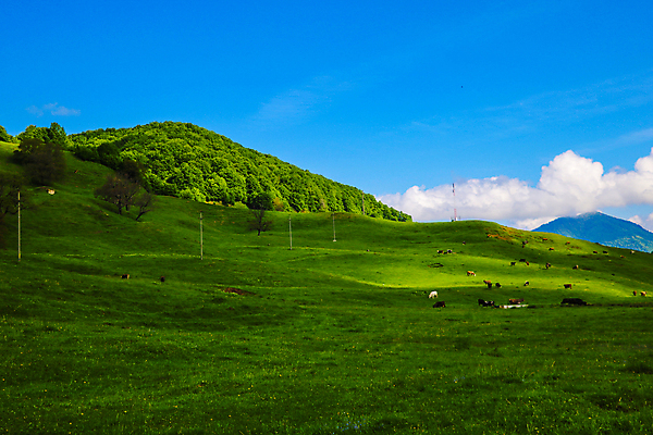 포토 JPG 해외이미지 주간 자연 하늘 사람없음 야외 맑음 봄 언덕 해외포토 자연요소 계절 날씨 생태계 파일형식 이미지허브