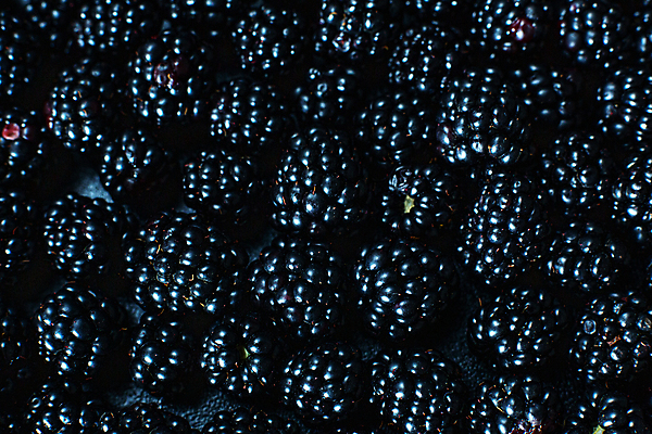 포토 JPG 해외이미지 식물 열매 음식 백그라운드 패턴 농업 다이어트 과일 재료 자연 디저트 건강 사람없음 파란색 농장 정원 검은색 수확 시골 신선 그룹 달콤 맛 정상 숲 먹기 오브젝트 유기농 질감 날것 블랙베리 흙더미 내추럴 숙성 채식주의자 비건 맛있는 해외포토 웰빙 산업 컬러 컨셉 무늬 모션 흙 생태계 채식 파일형식 더미 이미지허브