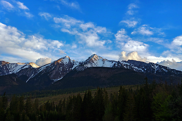 포토 JPG 해외이미지 나무 식물 계절 공원 여행 백그라운드 밭 농업 자연 하늘 아침 휴가 산 파노라마 사람없음 야외 초록색 파란색 빛 햇빛 태양 농장 환경 계곡 침묵 봄 안개 시골 신선 숲 땅 언덕 알프스 장면 내추럴 절정 해외포토 주간 자연요소 공공시설 유럽 산업 컬러 날씨 촬영기법 소리 생태계 파일형식 이미지허브