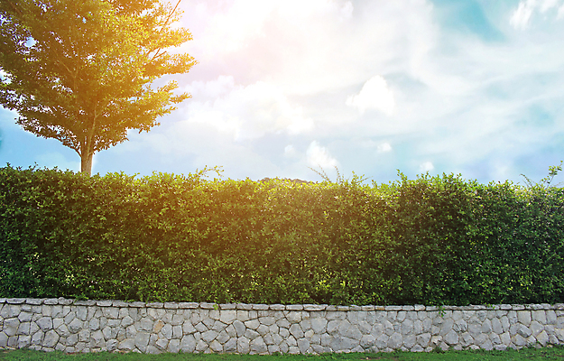 포토 JPG 해외이미지 나무 식물 벽 백그라운드 잎 패턴 밭 자연 벽지 하늘 추상 벽돌 주택 잔디 사람없음 초록색 여름 파란색 울타리 컬러풀 태양 뷰티 우주 환경 정원 자전거 바위 나뭇가지 시골 큼 관목 질감 시멘트 상록수 멸종 내추럴 그런지 바이킹 옛날 콘크리트 해외포토 자연요소 계절 컬러 무늬 농업 건물 담장 바이크 돌_바위 크기 생태계 파일형식 이미지허브