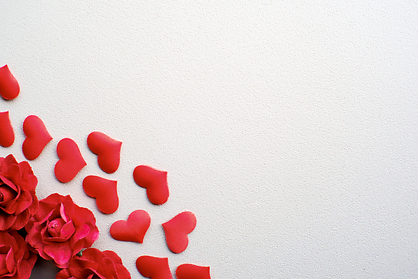 포토 JPG 해외이미지 꽃 실내 사랑 사람없음 하트 흰배경 카피스페이스 해외포토 모양 식물 감정 백그라운드 내부 공백 흰색 파일형식 이미지허브