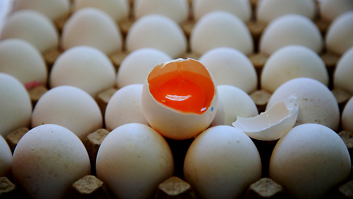 포토 JPG 해외이미지 동물 음식 재료 자연 건강 요리 사람없음 농장 갈색 바구니 계란 치킨 껍질 흰색 신선 그룹 아침식사 상품 유기농 날것 내추럴 단백질 취급주의 해외포토 웰빙 컬러 농업 경고 알 식사 생태계 닭고기요리 영양소 파일형식 이미지허브