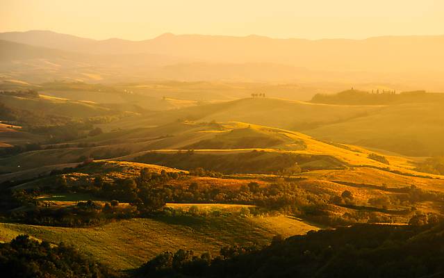 포토 JPG 해외이미지 나무 유럽 여행 밭 농업 자연 하늘 주택 파노라마 사람없음 야외 초록색 빛 햇빛 태양 뷰티 농가 농장 농경지 평화 일출 맑음 일몰 놀람 봄 이탈리아 시골 황금 저녁 언덕 토스카나 해외포토 자연요소 식물 계절 감정 나라 산업 컬러 컨셉 날씨 촬영기법 표정 건물 노을 야간 생태계 파일형식 이미지허브