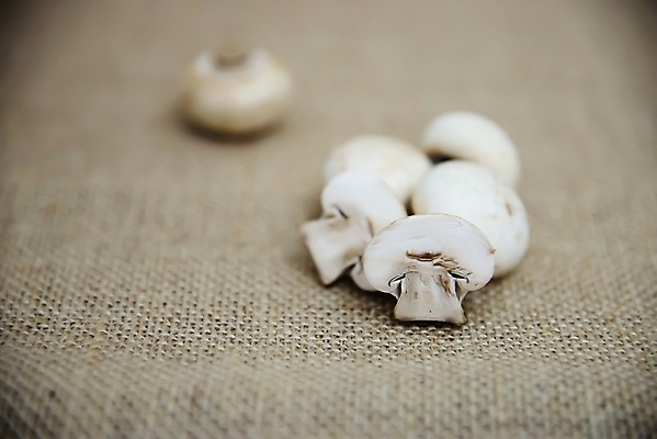 포토 JPG 해외이미지 식물 음식 백그라운드 다이어트 채소 재료 자연 파슬리 건강 요리 사람없음 갈색 식사 버섯 수확 흰색 신선 그룹 칼 맛 정상 자르기 먹기 유기농 날것 슬라이스 내추럴 고립 곰팡이 생식 숙성 식용 정육점 채식주의자 비건 맛있는 해외포토 웰빙 컬러 컨셉 농업 모션 상점 생태계 채식 파일형식 이미지허브