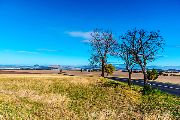 포토 JPG 해외이미지 나무 구름 도로 선 여행 밭 곡선 교통시설 모션 자연 하늘 풍경 초원 사람없음 야외 초록색 여름 파란색 태양 맑음 운전 자유 시골 고속도로 숲 아스팔트 땅 방향 속도 장면 멀리 루트 방법 수평선 해외포토 자연요소 식물 계절 길 컬러 교통 컨셉 농업 날씨 시설 생태계 파일형식 이미지허브