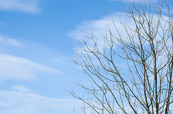 포토 JPG 해외이미지 계절 하늘색 백그라운드 겨울 자연 하늘 날씨 사람없음 파란색 빛 햇빛 태양 뷰티 맑음 봄 흰색 신선 분위기 수분 흐림 산소 오존 해외포토 자연요소 컬러 컨셉 원소 생태계 파일형식 이미지허브
