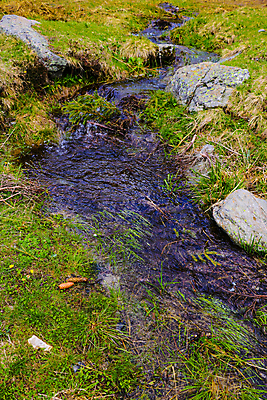 포토 JPG 해외이미지 나무 백그라운드 잎 자연 영국 잉글랜드 산 이끼 풍경 경사 사람없음 야외 목재 초록색 물 여름 빛 강 평화 환경 봄 폭포 흐름 개울 떨어짐 숲 고도 언덕 속도 지역 노려봄 슬로바키아 컴브리아주 해외포토 자연요소 식물 계절 유럽 컬러 컨셉 재료 표정 생태계 파일형식 이미지허브