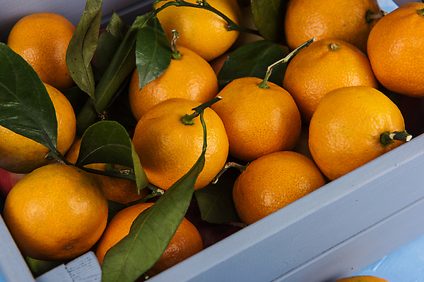 포토 JPG 해외이미지 귤 실내 사람없음 나무상자 담기 해외포토 과일 모션 내부 상자 파일형식 이미지허브