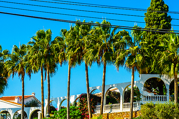 포토 JPG 해외이미지 나무 식물 여행 백그라운드 컨셉 잎 하늘 추상 휴가 휴식 왕관 손바닥 풍경 사람없음 야외 초록색 여름 야자수 맑음 올려보기 수확 장면 코코넛 석호 내추럴 이국적 파라다이스 스타일 효과 해외포토 손 계절 컬러 무늬 농업 과일 모션 날씨 파일형식 이미지허브