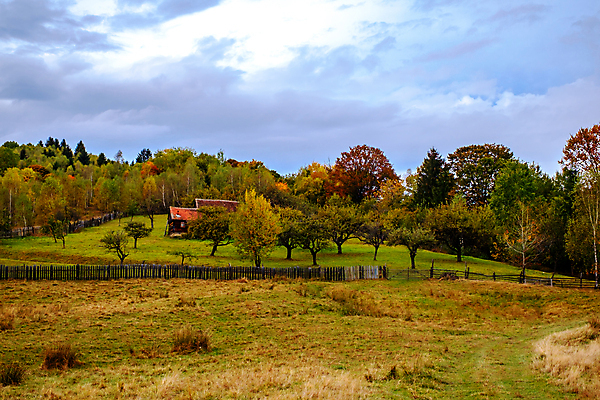 포토 JPG 해외이미지 주간 구름 단풍 하늘 단풍나무 사람없음 야외 울타리 가을풍경 숲 루마니아 해외포토 자연요소 나무 유럽 잎 풍경 담장 파일형식 가을_계절 이미지허브