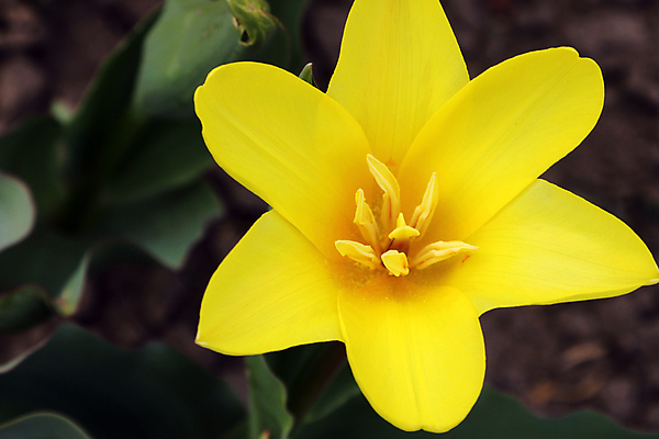 포토 JPG 해외이미지 나무 식물 디자인 배너 공원 꽃잎 꽃 꽃다발 백그라운드 잎 꽃무늬 패턴 밭 비즈니스 자연 하늘 휴가 부활절 프레임 선물 사람없음 초록색 파란색 빛 컬러풀 뷰티 장미 정원 봄 벚꽃 인사 신선 닫기 선택 5월 문학 부드러움 내추럴 옛날 해외포토 계절 공공시설 기념일 컬러 컨셉 무늬 농업 모션 예절 감각 날짜 생태계 파일형식 이미지허브