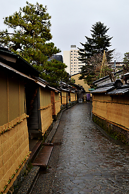 포토 JPG 해외이미지 나무 식물 디자인 계절 공원 아시아 문화 도로 선 여행 백그라운드 잎 건축양식 자연 주택 미술 동양인 사람없음 야외 초록색 컬러풀 뷰티 평화 정원 일본 연못 체리 보행로 원예 사당 사무라이 해외포토 공공시설 건축 나라 길 컬러 컨셉 과일 교통시설 문화예술 인종 취미 건물 생태계 파일형식 이미지허브