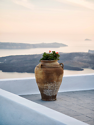포토 JPG 해외이미지 꽃 바다 섬 사람없음 장식 꽃병 맑음 그리스 산토리니 해외포토 식물 유럽 날씨 파일형식 이미지허브