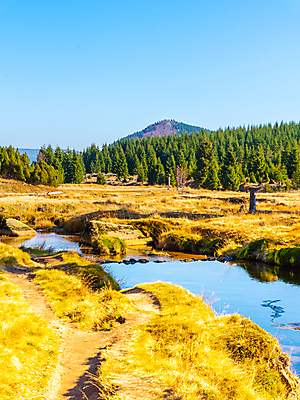 포토 JPG 해외이미지 나무 계절 여행 백그라운드 밭 자연 하늘 산 사람없음 야외 초록색 물 파란색 강 햇빛 반사 마을 환경 맑음 봄 시골 개울 숲 작음 체코 내추럴 공화국 전국 해외포토 자연요소 식물 유럽 나라 컬러 농업 날씨 태양 크기 생태계 파일형식 이미지허브