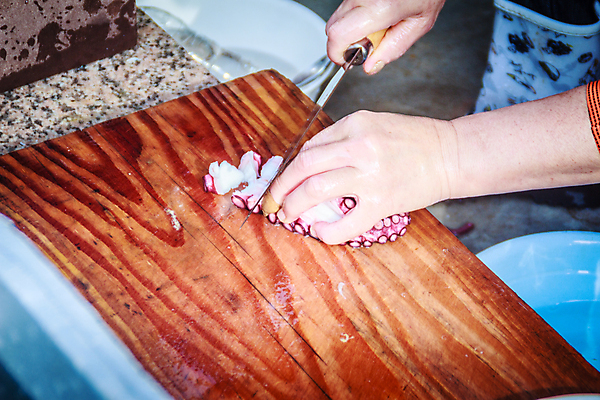 포토 JPG 해외이미지 동물 전통 아시아 음식 섬 여행 자연 한국 쟁반 요리 해변 사람없음 야외 식당 식사 흰색 신선 잡기 시장 그릴 굽기 먹기 해산물 오징어 날것 문어 팔 촉수 숯 비타민 찌그러짐 식용 맛있는 해외포토 나라 바다 컬러 컨셉 모션 주방용품 연체동물 신체부위 상점 수중동물 구이 생태계 영양소 파일형식 이미지허브