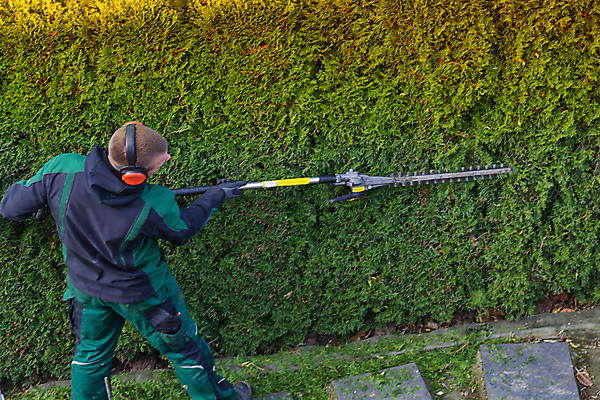 포토 JPG 해외이미지 나무 식물 백인 직업 라이프스타일 공원 남자 꽃 노동자 사람 풍경 사람없음 야외 초록색 울타리 유행 정원 기계 봄 공구 업무 작업 휘발유 자르기 꽃집 관목 서비스 원예 조경 손질 몸단장 구성 돌봄 원예사 해외포토 서양인 계절 공공시설 컬러 모션 취미 생활 담장 상점 도구 석유 파일형식 이미지허브