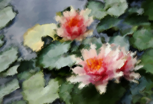 포토 JPG 해외이미지 식물 꽃잎 꽃 호수 분홍색 백그라운드 잎 자연 휴식 수채화 연꽃 그림자 미술 사람없음 장식 초록색 물 여름 빛 뷰티 반사 노란색 정원 페인트 봄 거울 벚꽃 물방울 붓 닫기 불기 벌 그림 꽃가루 내추럴 우수 해외포토 자연요소 계절 컬러 곤충 컨셉 모션 문화예술 가루 절기 생태계 파일형식 이미지허브