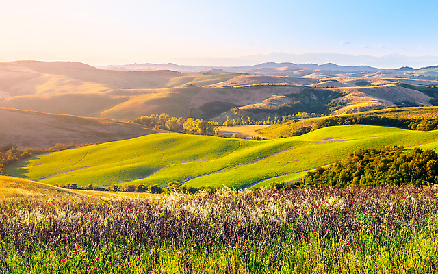 포토 JPG 해외이미지 나무 유럽 여행 밭 농업 자연 하늘 주택 파노라마 사람없음 야외 초록색 빛 햇빛 태양 뷰티 농가 농장 농경지 평화 일출 맑음 일몰 놀람 봄 이탈리아 시골 황금 저녁 언덕 토스카나 해외포토 자연요소 식물 계절 감정 나라 산업 컬러 컨셉 날씨 촬영기법 표정 건물 노을 야간 생태계 파일형식 이미지허브