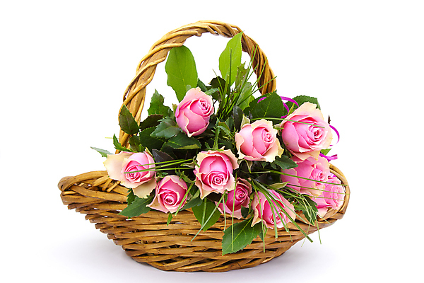 포토 JPG 해외이미지 식물 기념일 꽃잎 꽃 분홍색 꽃다발 결혼 백그라운드 잎 꽃무늬 자연 벽지 결혼식 엄마 발렌타인데이 선물 사랑 사람없음 장식 장미 바구니 귀여움 침묵 성장 흰색 축하 신선 생일 개화 다발 기회 향기 냄새 열정 카피스페이스 해외포토 감정 컬러 컨셉 무늬 가족 데이이벤트 이벤트 소리 공백 생태계 파일형식 이미지허브