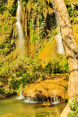 포토 JPG 해외이미지 식물 공원 물결 파도 여행 자연 휴가 휴식 산 풍경 사람없음 초록색 물 강 봄 폭포 젖음 신선 개울 떨어짐 숲 순수 분수 에메랄드 내추럴 민물 현재 해외포토 자연요소 계절 공공시설 바다 컬러 컨셉 보석 생태계 파일형식 이미지허브