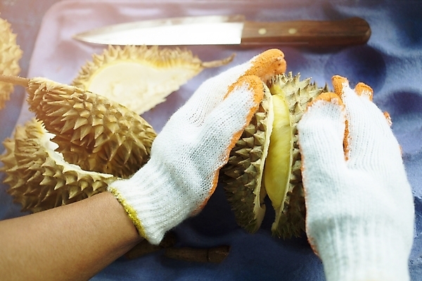 포토 JPG 해외이미지 나무 식물 계절 아시아 음식 조각 백그라운드 과일 태국 자연 디저트 건강 육류 동양인 사람없음 초록색 농장 노란색 정원 수확 껍질 흰색 신선 가시 시장 달콤 맛 왕 먹기 유기농 날것 냄새 비타민 스파이크 내추럴 숙성 이국적 맛있는 해외포토 웰빙 나라 컬러 컨셉 농업 식재료 모션 인종 생태계 영양소 파일형식 이미지허브