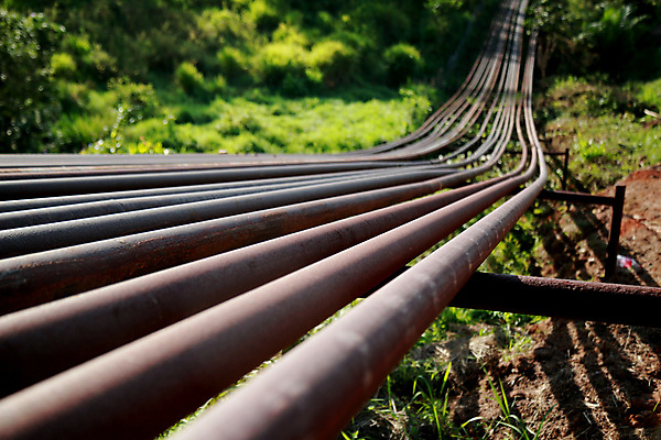 포토 JPG 해외이미지 식물 산업 밭 사람없음 탑 힘 기계 장비 회색 에너지 탐험 오염 제조 휘발유 석유 발굴 기중기 화석 연료 가스 자원 공학 단상 펌프 디젤 조작 추출 파이프라인 해외포토 건축물 교육 컬러 농업 중장비 파이프_관 파일형식 이미지허브