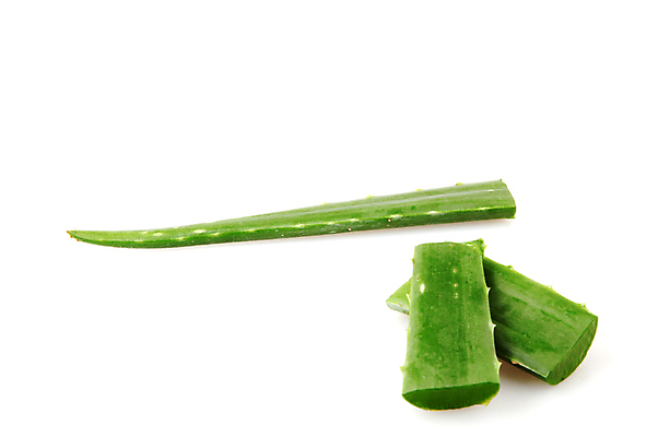 포토 JPG 해외이미지 식물 꽃 줄기 백그라운드 잎 자연 선인장 건강 사람없음 초록색 물 빛 약 우주 주스 화장품 활발 젖음 사막 성장 흰색 신선 가시 닫기 떨어짐 허브 피부 순수 묘사 스킨케어 스파이크 고립 넘어짐 돌봄 알로에 억울 디테일 해외포토 자연요소 감정 음료 컬러 컨셉 의학 모션 신체부위 뷰티 생태계 파일형식 이미지허브