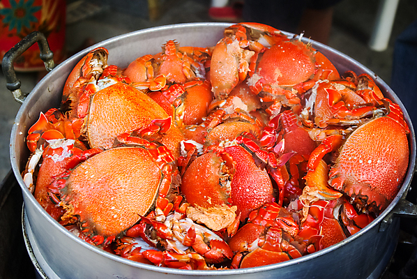 포토 JPG 해외이미지 접시 야생동물 음식 바다 백그라운드 채소 오렌지 태국 자연 호텔 조개 주택 건강 육류 갑각류 어류 요리 사람없음 빨간색 물 바구니 환경 식당 요리사 식사 저녁식사 게 흰색 신선 뜨거움 맛 해산물 거인 점심식사 끓이기 민물 맛있는 해외포토 자연요소 동물 직업 식기 아시아 컬러 컨셉 과일 식재료 모션 숙소 어패류 건물 상점 수중동물 생태계 파일형식 이미지허브