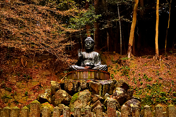 포토 JPG 해외이미지 동물 아시아 종교 문화 잎 불교 건축양식 동양인 사람없음 조각상 갈색 일본 사찰 역사 재산 건축가 크루즈 동쪽 할리우드 교토 사당 해외포토 식물 직업 건축 나라 컬러 배_교통 종교건축 인종 금융 조형물 방향 로스앤젤레스 파일형식 이미지허브