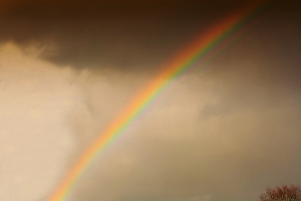 포토 JPG 해외이미지 야생동물 무지개 밭 자연 하늘 초원 사람없음 야외 빨간색 파란색 빛 컬러풀 반사 노란색 환경 놀람 봄 자유 5월 활 러시아 폭풍 붓꽃 더블 보호구역 생태학 특별함 현상 해외포토 자연요소 동물 계절 교육 꽃 감정 유럽 컬러 컨셉 농업 날씨 표정 날짜 생태계 구역 파일형식 이미지허브