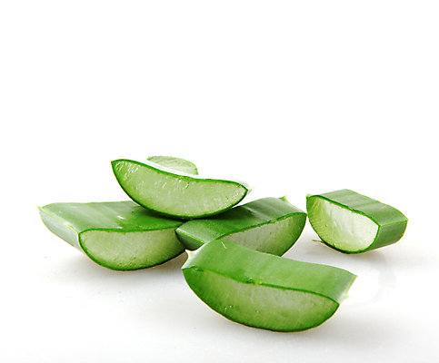 포토 JPG 해외이미지 식물 꽃 줄기 백그라운드 잎 자연 선인장 건강 사람없음 초록색 물 빛 약 우주 주스 화장품 활발 젖음 사막 성장 흰색 신선 가시 닫기 떨어짐 허브 피부 순수 묘사 스킨케어 스파이크 고립 넘어짐 돌봄 알로에 억울 해외포토 자연요소 감정 음료 컬러 컨셉 의학 모션 신체부위 뷰티 생태계 파일형식 이미지허브