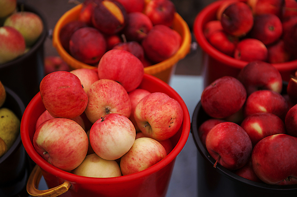 포토 JPG 해외이미지 과일 실내 사람없음 바구니 사과 가득함 담기 해외포토 모션 내부 파일형식 이미지허브