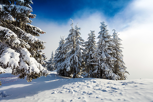 포토 JPG 해외이미지 나무 배너 계절 스포츠 백그라운드 겨울 자연 날씨 휴가 산 경사 사람없음 야외 목재 태양 우주 냉동 얼음 추위 흰색 소나무 숲 접속 휴양지 서리 리프트 장면 봉 내추럴 눈내림 해외포토 자연요소 식물 컬러 재료 눈_날씨 장소 생태계 파일형식 이미지허브