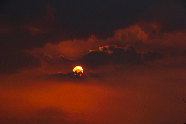 포토 JPG 해외이미지 공원 파도 여행 백그라운드 오렌지 자연 벽지 하늘 아침 날씨 휴가 산 파노라마 사람없음 야외 빨간색 물 빛 세트 태양 뷰티 반사 일출 맑음 보라색 일몰 낭만 광선 황금 저녁 순수 열정 장면 태평양 천국 수평선 해외포토 주간 자연요소 공공시설 감정 바다 컬러 컨셉 과일 촬영기법 노을 야간 생태계 파일형식 이미지허브