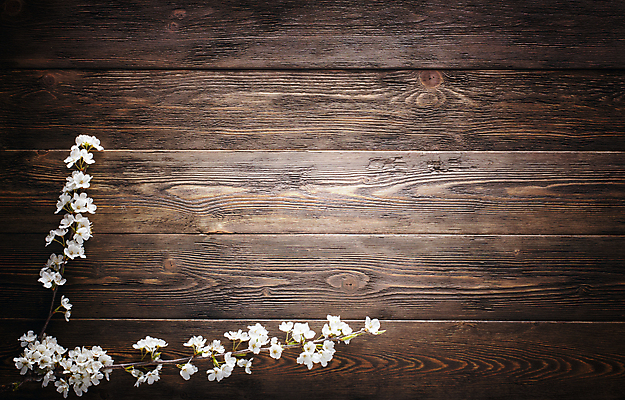 포토 JPG 해외이미지 꽃 벽 백그라운드 패턴 봄꽃 자연 벽지 표면 바닥 사람없음 건물 목재 여름 봄 수확 시골 소나무 판넬 마루 거친 천 유기농 질감 목공예 자원 내추럴 평행 그런지 수목 나무배경 해외포토 나무 식물 건축물 웰빙 계절 무늬 농업 재료 직물 공예 생태계 파일형식 이미지허브