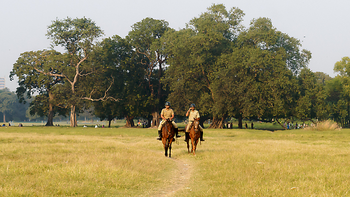 포토 JPG 해외이미지 야생동물 농업 사람 잔디 사람없음 야외 두명 달리기 농장 농경지 갈색 마을 가축 봄 목장 농촌 시골 승마 땅 경계 뉴욕 해외포토 식물 동물 계절 산업 스포츠 컬러 모션 미국 파일형식 이미지허브