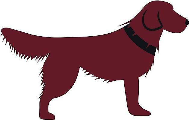 EPS 해외이미지 동물 척추동물 1 포즈 일러스트 포유류 자연 친절 생물 털 건강 서기 성인 반려동물 갈색 머리카락 흰색 플랫 개 모피 가득함 사인 꼬리 사냥 사냥개 아일랜드 송곳니 기르기 유래 주목 지능 해외일러스트 유럽 컬러 모션 사람 머리 치아 생태계 돌봄 파일형식 벡터 이미지허브