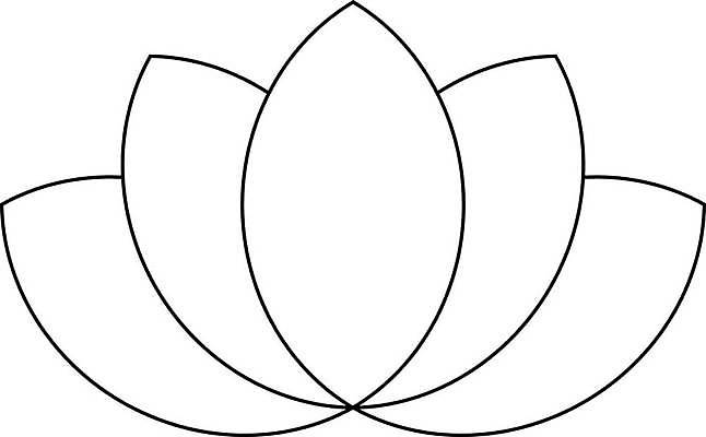 EPS 해외이미지 모양 식물 디자인 계절 꽃잎 꽃 실루엣 아시아 백그라운드 잎 꽃무늬 패턴 불교 일러스트 요가 자연 추상 건강 연꽃 미술 장식 물 평화 정원 일본 검은색 스파 중국 화목 벚꽃 흰색 개화 심볼 순수 사인 그림 윤곽 내추럴 고립 엘리먼트 해외일러스트 자연요소 웰빙 나라 종교 컬러 컨셉 무늬 문화예술 촬영기법 생태계 파일형식 벡터 이미지허브