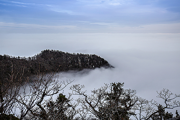 포토 JPG 주간 나무 하늘 산 풍경 사람없음 야외 강원도 운해 국내여행 설악산 인제군 국내포토 자연요소 식물 여행 한국 인제 파일형식 구름_자연