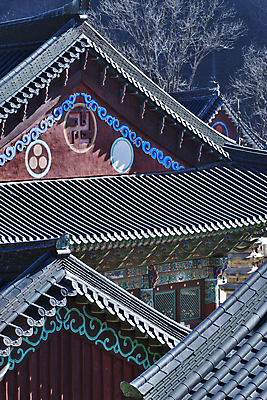 포토 JPG 주간 불교 한옥 풍경 사람없음 야외 사찰 강원도 기와지붕 국내여행 월정사 평창 국내포토 자연요소 한국전통 종교 여행 고건축 종교건축 지붕 한국 기와 파일형식