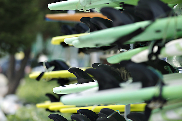 포토 JPG 주간 레저 풍경 사람없음 야외 아웃포커스 여름 수상스포츠 서핑보드 서핑 소프트포커스 일렬 강원도 국내여행 양양군 국내포토 자연요소 계절 스포츠 여행 한국 촬영기법 보드_스포츠 파일형식