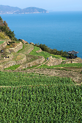 포토 JPG 주간 바다 풍경 사람없음 야외 농사 농촌 경상남도 정자 남해 계단식논 국내여행 남해군 다랭이논 국내포토 자연요소 건축물 여행 농업 논 시골 경상도 파일형식