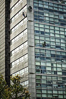 포토 JPG 주간 전신 서울 매달리기 외벽 빌딩 성인 사람없음 야외 일상 세명 청소 청소부 유리창청소 성인만 국내포토 자연요소 직업 벽 모션 한국 사람 건물 라이프 파일형식