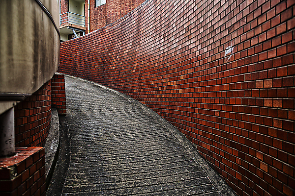 포토 JPG 주간 서울 사람없음 야외 빈티지 골목길 벽돌담 미로 오르막 국내포토 자연요소 길 컨셉 벽돌 한국 담장 파일형식
