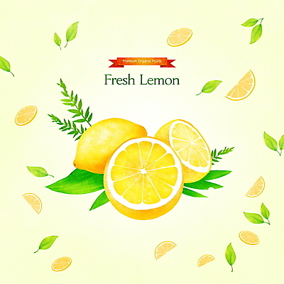 PSD 잎 일러스트 단면 사람없음 노란색 신선 레몬 슬라이스 과일조각 제철 제철음식 제철과일 국내일러스트 식물 음식 컬러 조각 과일 파일형식