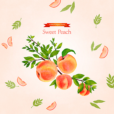 PSD 분홍색 일러스트 나뭇잎 사람없음 나뭇가지 달콤 복숭아 과일조각 제철 제철음식 제철과일 국내일러스트 나무 음식 컬러 조각 잎 과일 맛 파일형식