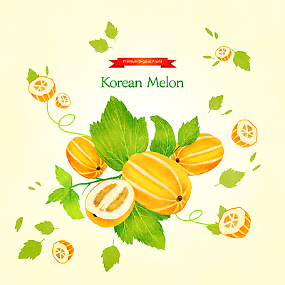 PSD 잎 일러스트 단면 사람없음 노란색 덩굴 반쪽 슬라이스 참외 과일조각 제철 제철음식 제철과일 과채 국내일러스트 식물 음식 컬러 조각 채소 과일 파일형식