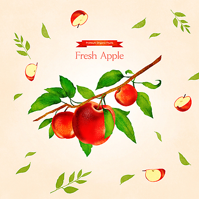 PSD 일러스트 나뭇잎 사람없음 주황색 나뭇가지 신선 사과 반쪽사과 사과조각 제철 제철음식 제철과일 국내일러스트 나무 음식 컬러 잎 과일 파일형식