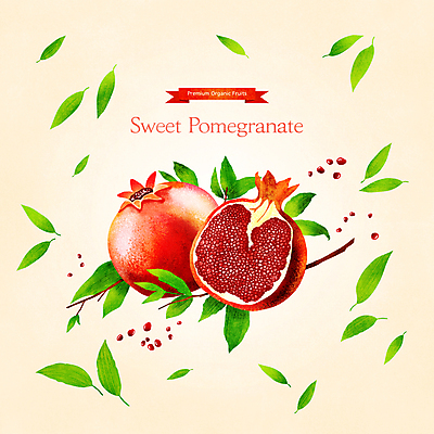 PSD 일러스트 단면 나뭇잎 사람없음 노란색 나뭇가지 달콤 낟알 반쪽 슬라이스 석류 석류알 제철 제철음식 제철과일 국내일러스트 나무 음식 컬러 잎 과일 맛 파일형식